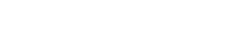 華やかなお弁当